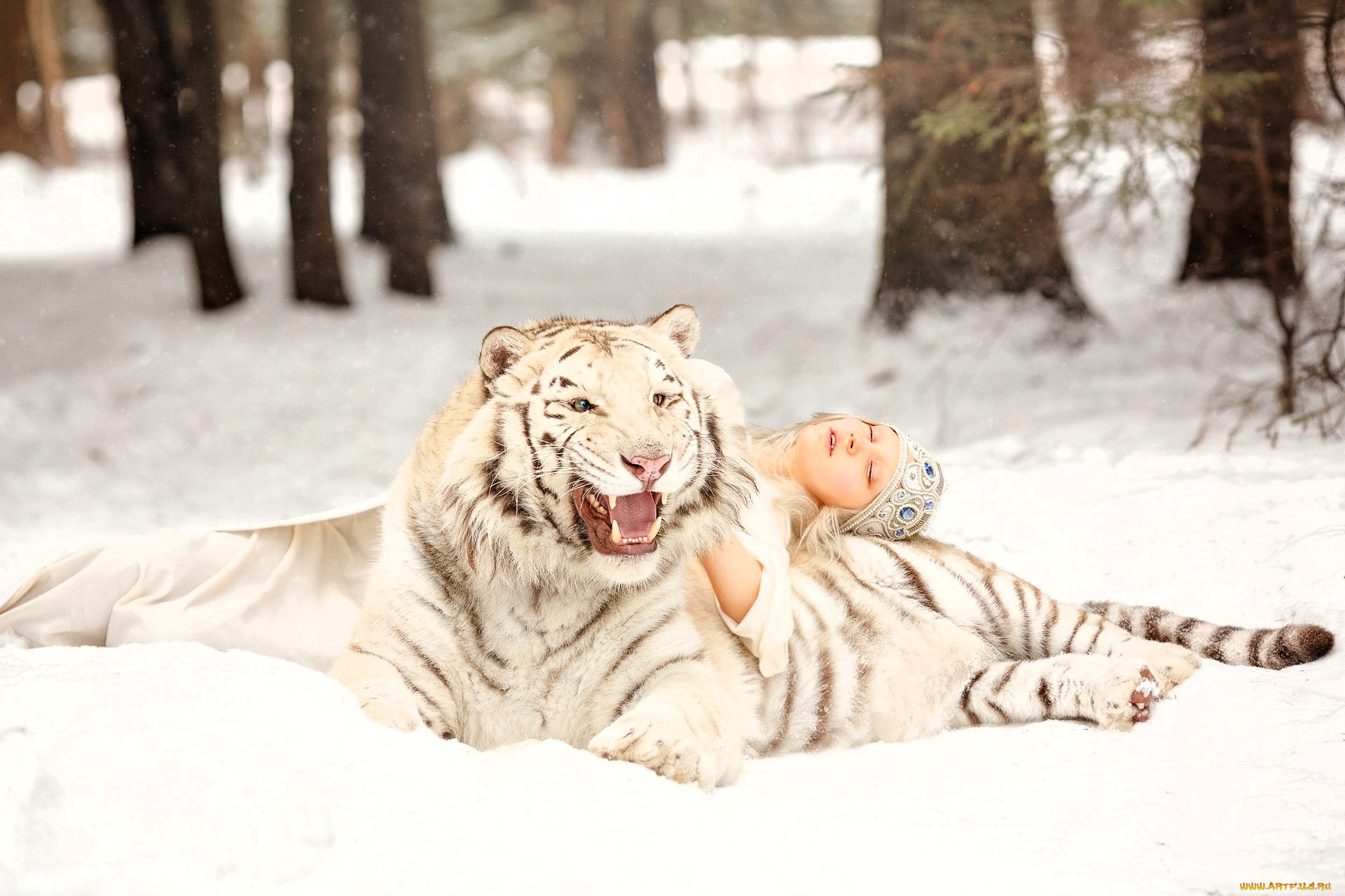 �������, - �������,  �������, ������, �������, ����, ����, ����, ���